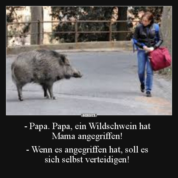 - Papa. Papa, ein Wildschwein hat Mama angegriffen!.. - Lustige Bilder | DEBESTE.de