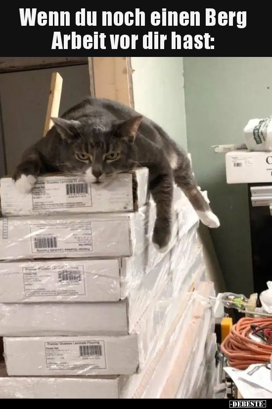 Wenn du noch einen Berg Arbeit vor dir hast..