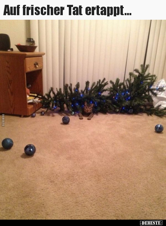 Auf frischer Tat ertappt