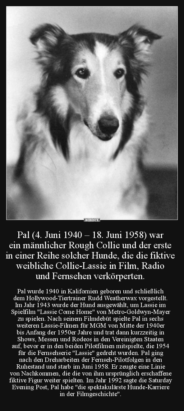 Pal (4. Juni 1940 – 18. Juni 1958).. - Lustige Bilder | DEBESTE.de