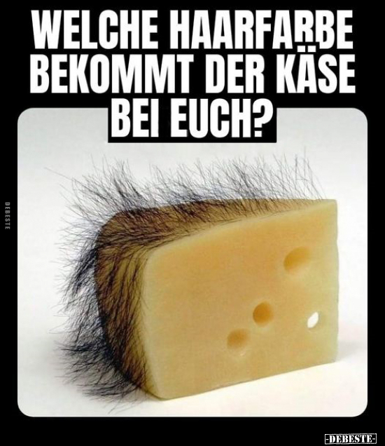 Welche Haarfarbe bekommt der Käse bei euch?.. - Lustige Bilder | DEBESTE.de