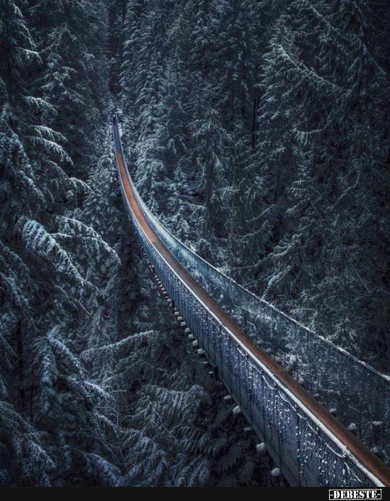  - Lustige Bilder | DEBESTE.de