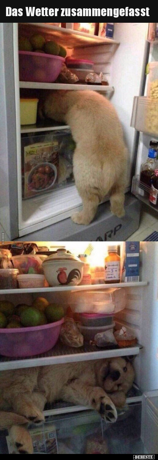 Das Wetter zusammengefasst..