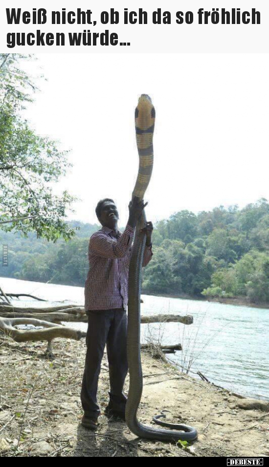 Weiß nicht, ob ich da so fröhlich gucken würde...