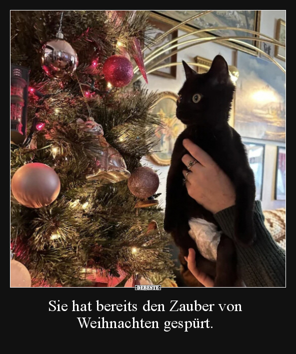 Sie hat bereits den Zauber von Weihnachten gespürt... - Lustige Bilder | DEBESTE.de
