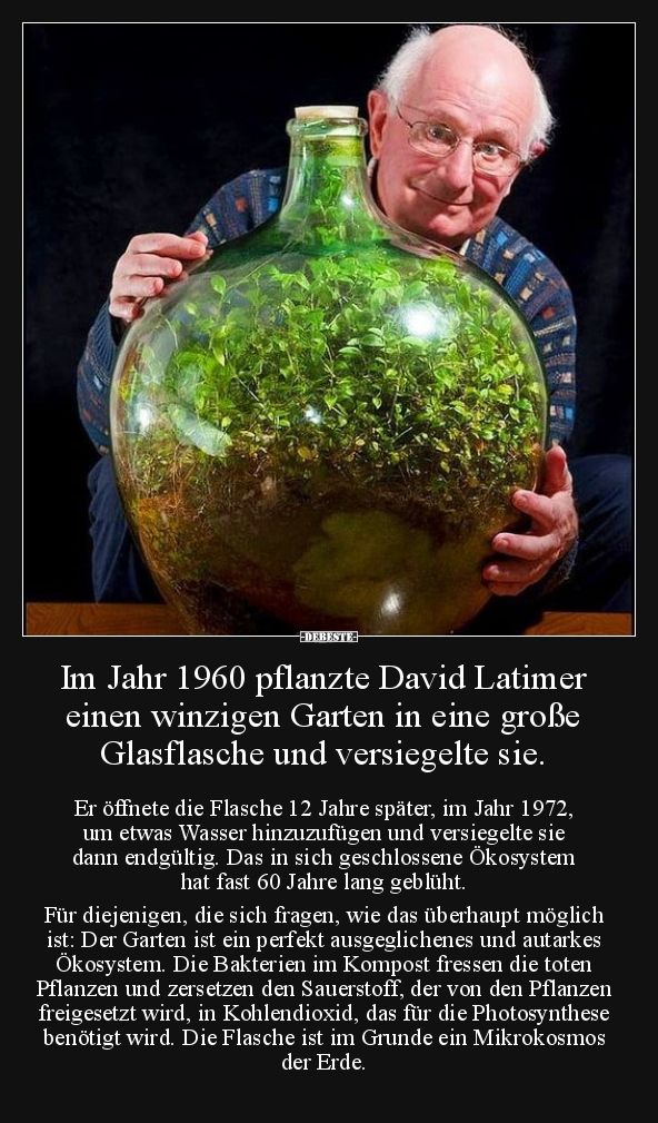 Im Jahr 1960 pflanzte David Latimer einen winzigen Garten.. - Lustige Bilder | DEBESTE.de