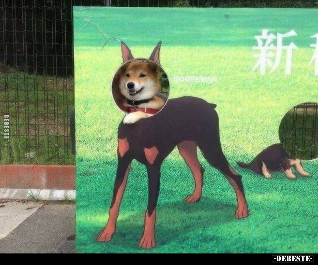  - Lustige Bilder | DEBESTE.de