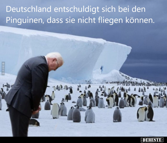 Deutschland entschuldigt sich bei den Pinguinen.. - Lustige Bilder | DEBESTE.de