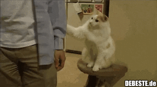 Du bist noch nicht fertig..