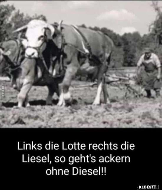 Links die Lotte rechts die Liesel, so geht's ackern ohne.. - Lustige Bilder | DEBESTE.de