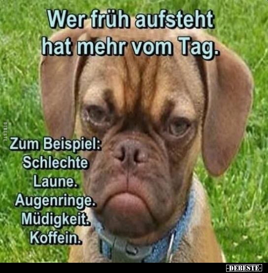 Wer früh aufsteht, hat mehr vom Tag...