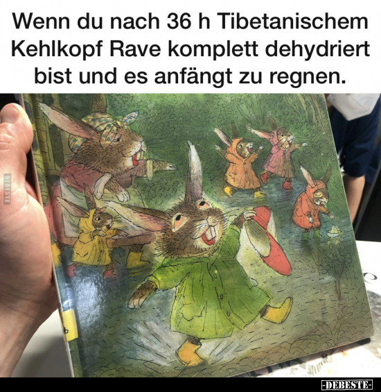 Wenn du nach 36 h Tibetanischem Kehlkopf Rave komplett.. - Lustige Bilder | DEBESTE.de