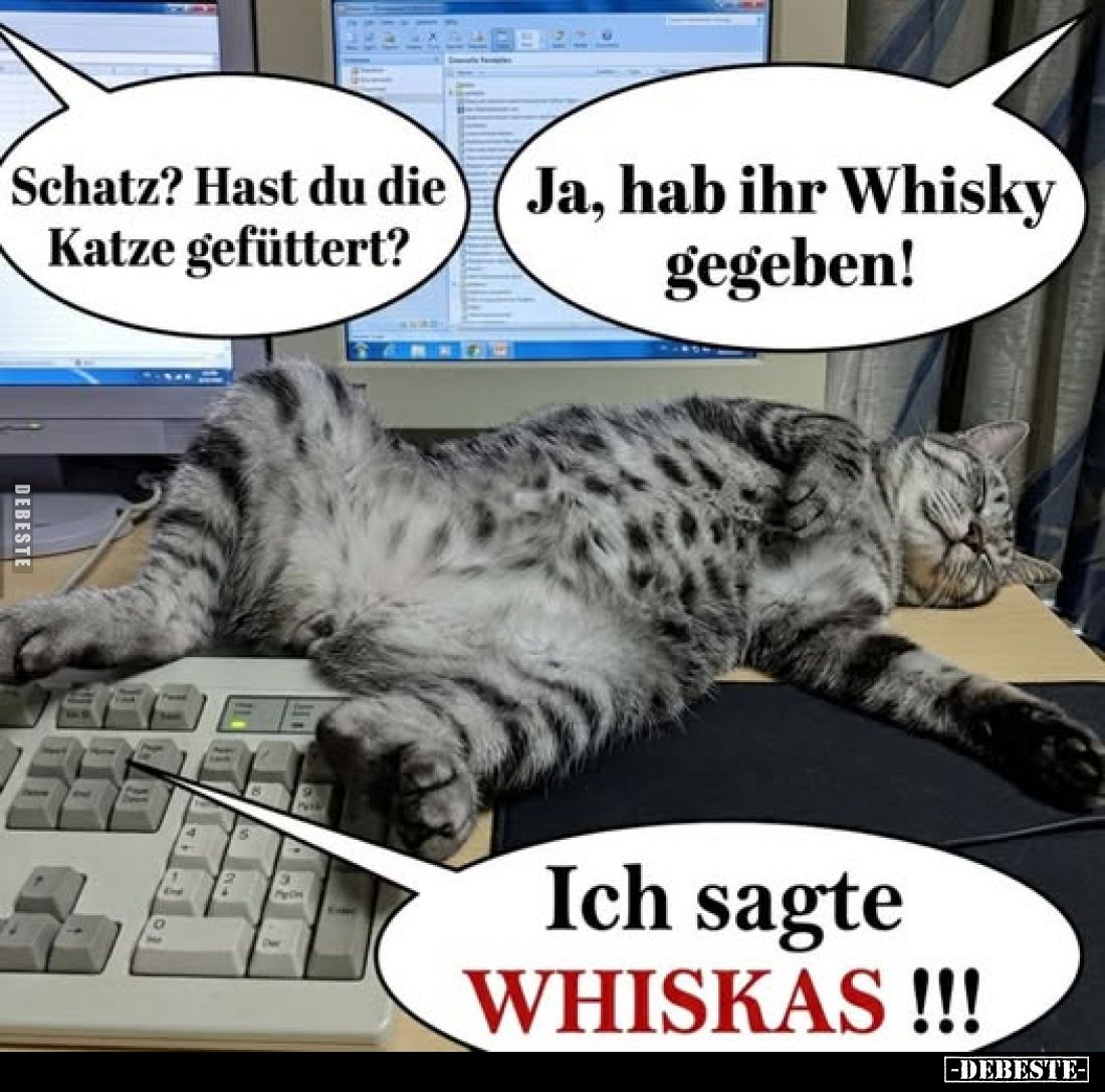 Schatz? Hast du die Katze gefüttert? -
Ja, hab ihr Whisky gegeben!
-
Ich sagte WHISKAS!!!