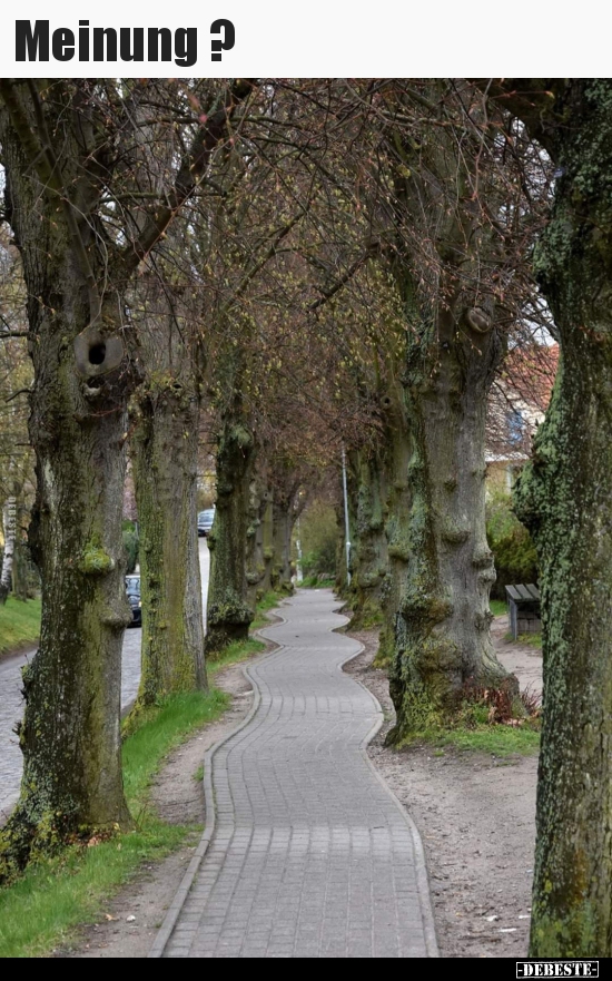 Meinung ?..