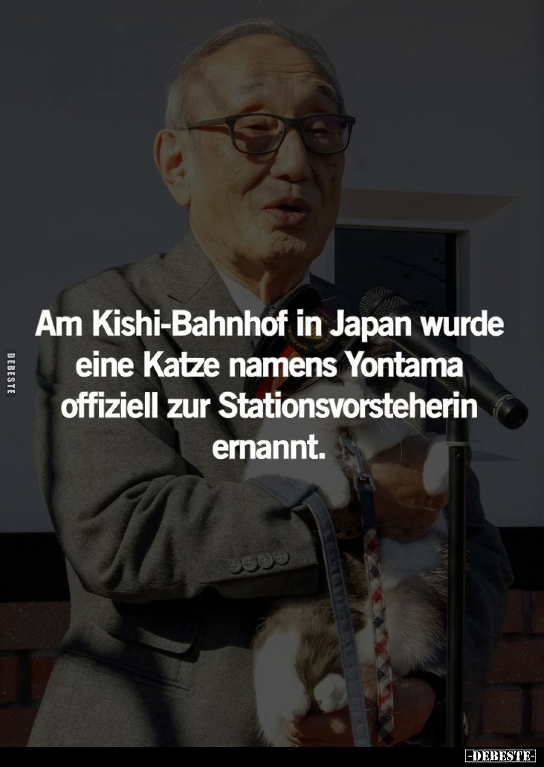 Am Kishi-Bahnhof in Japan wurde eine Katze namens Yontama offiziell zur Stationsvorsteherin ernannt.