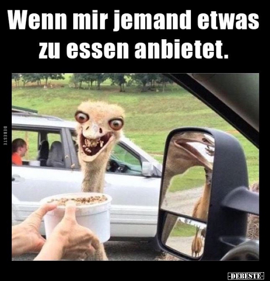 Wenn mir jemand etwas zu essen anbietet...