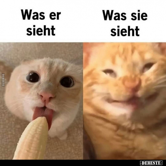 Was er sieht / Was sie sieht