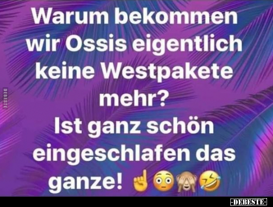 Warum bekommen wir Ossis eigentlich keine Westpakete mehr?.. - Lustige Bilder | DEBESTE.de