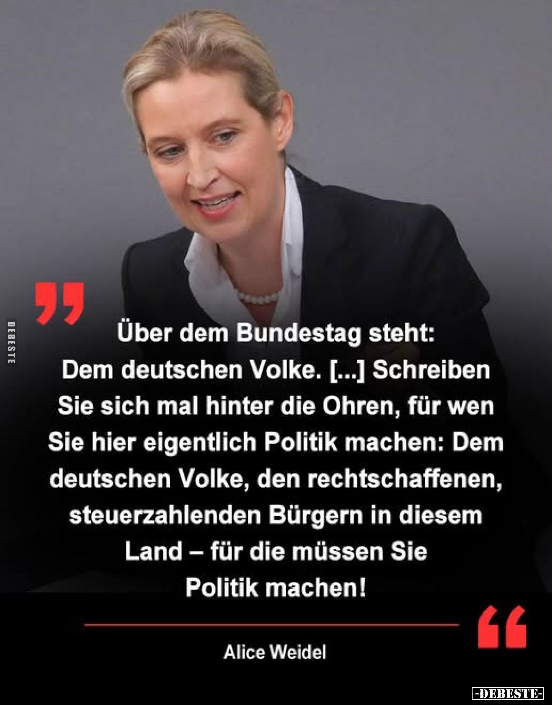 Über dem Bundestag steht: Dem deutschen Volke. [...] Schreiben Sie sich mal hinter die Ohren, für wen Sie hier eigentlich Pol...