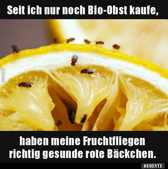 Seit ich nur noch Bio-Obst kaufe.. - Lustige Bilder | DEBESTE.de