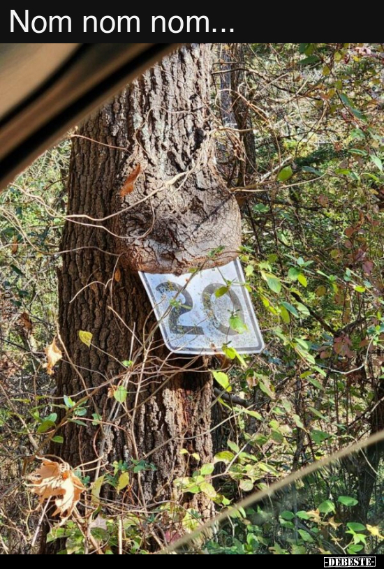 Nom nom nom..