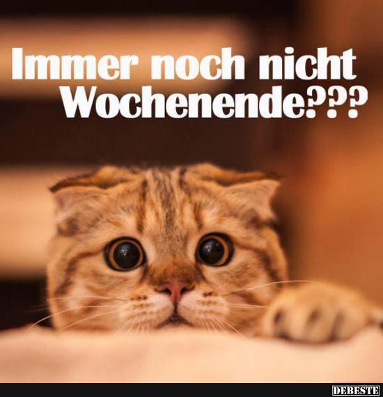 Immer noch nicht Wochenende?