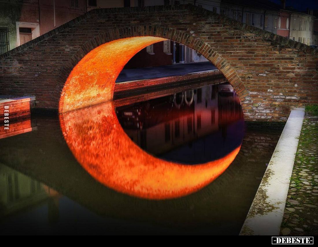  - Lustige Bilder | DEBESTE.de