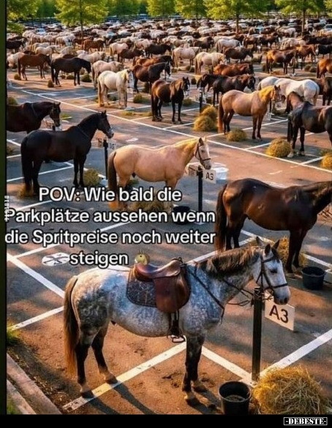 POV: Wie bald die Parkplätze aussehen wenn die Spritpreise noch weiter steigen