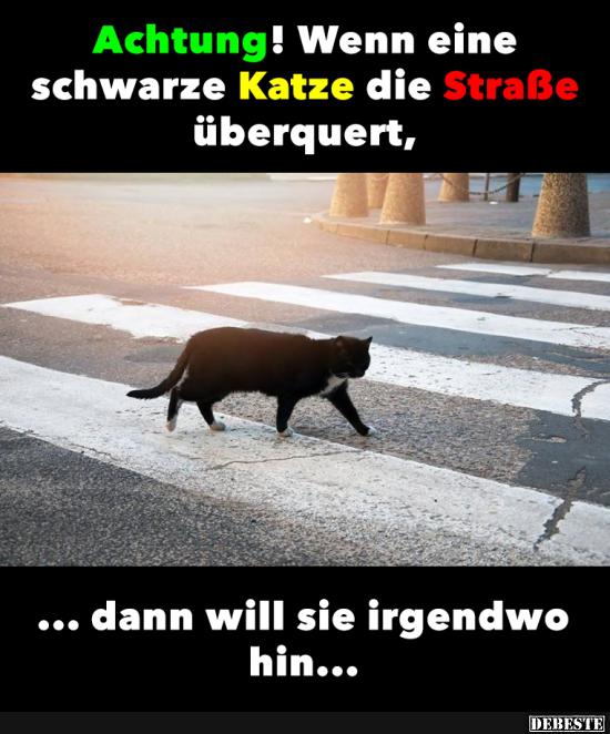 Achtung! Wenn eine schwarze Katze die Straße überquert.. - Lustige Bilder | DEBESTE.de