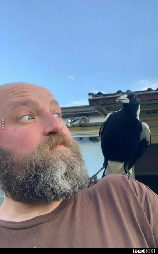  - Lustige Bilder | DEBESTE.de