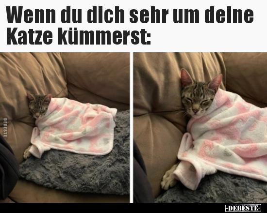 Wenn du dich sehr um deine Katze kümmerst.. - Lustige Bilder | DEBESTE.de