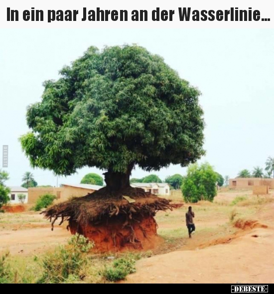 In ein paar Jahren an der Wasserlinie...