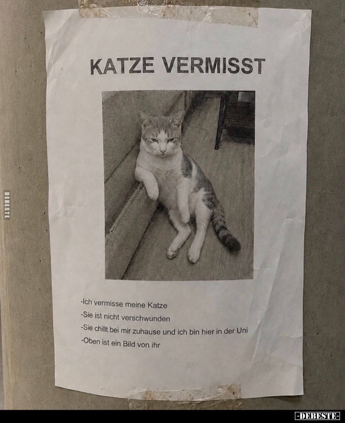 Katze vermisst. 
- Ich vermisse meine Katze.
- Sie ist nicht verschwunden.
- Sie chillt bei mir zuhause und ich bin hier i...