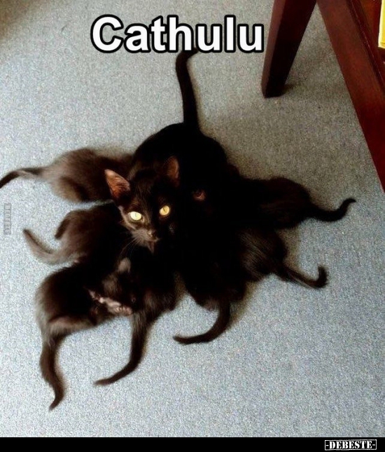 Cathulu..