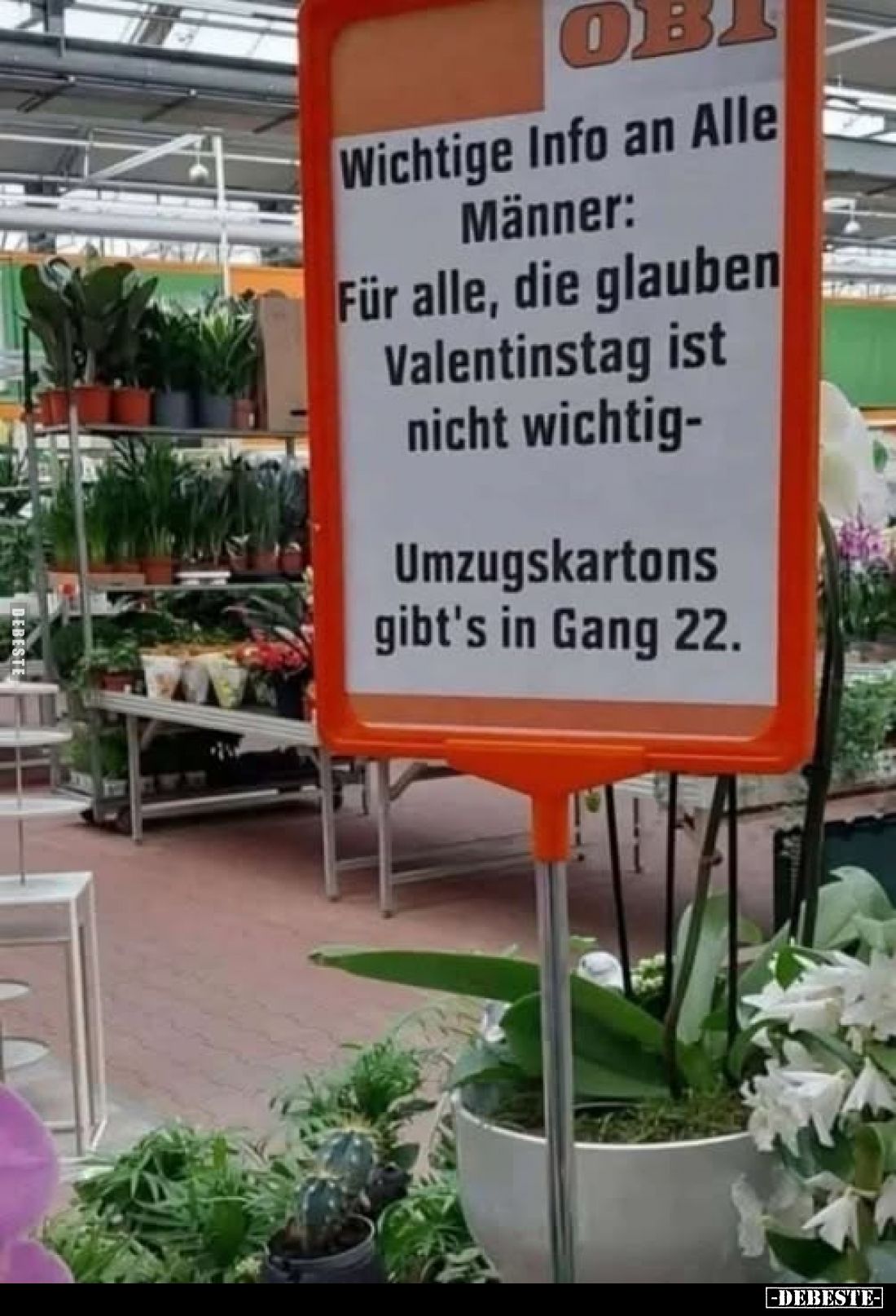 Wichtige Info an Alle Männer: Für alle, die glauben Valentinstag ist nicht wichtig-
Umzugskartons gibt's in Gang 22.