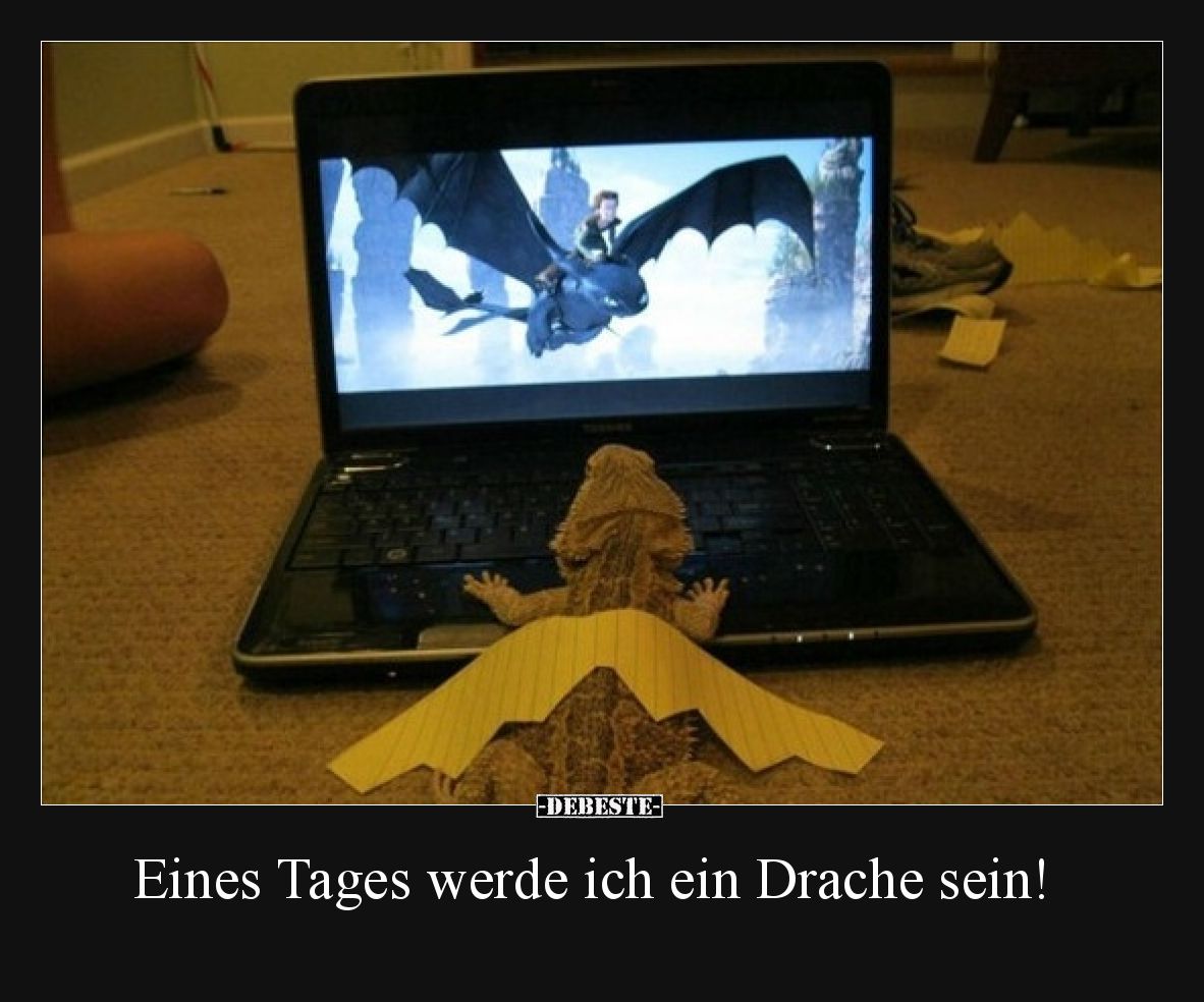 Eines Tages werde ich ein Drache sein!