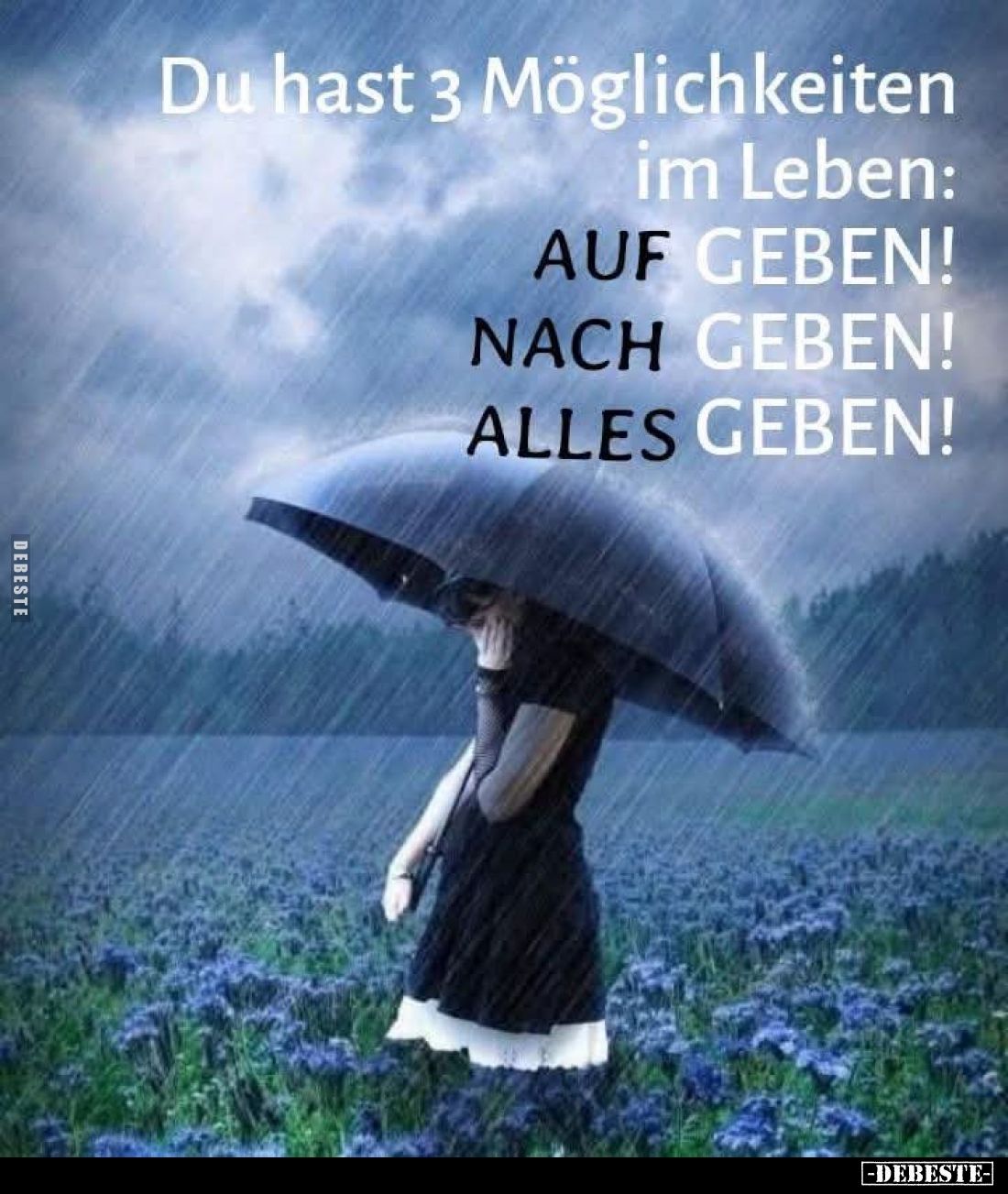 Du hast 3 Möglichkeiten
im Leben:
Auf geben!
Nach geben!
Alles geben!