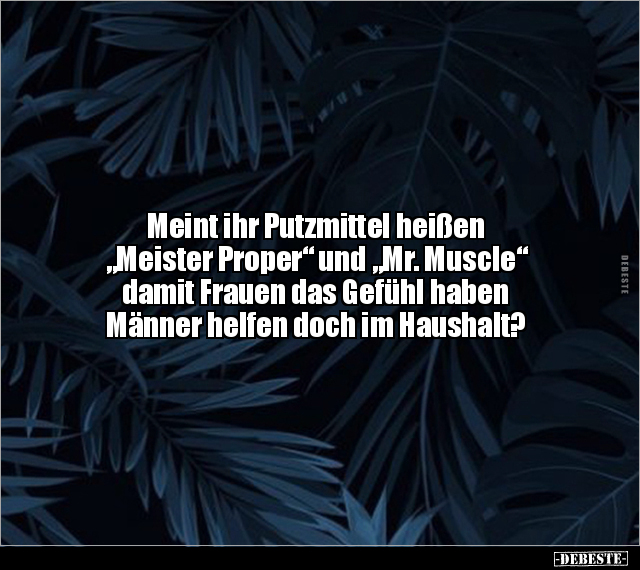Meint ihr Putzmittel heißen "Meister Proper" und... - Lustige Bilder | DEBESTE.de