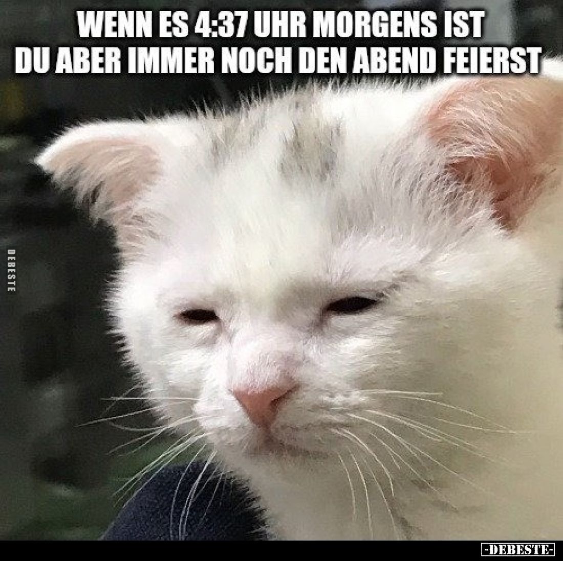 Wenn es 4:37 Uhr morgens ist
du aber immer noch den Abend feierst