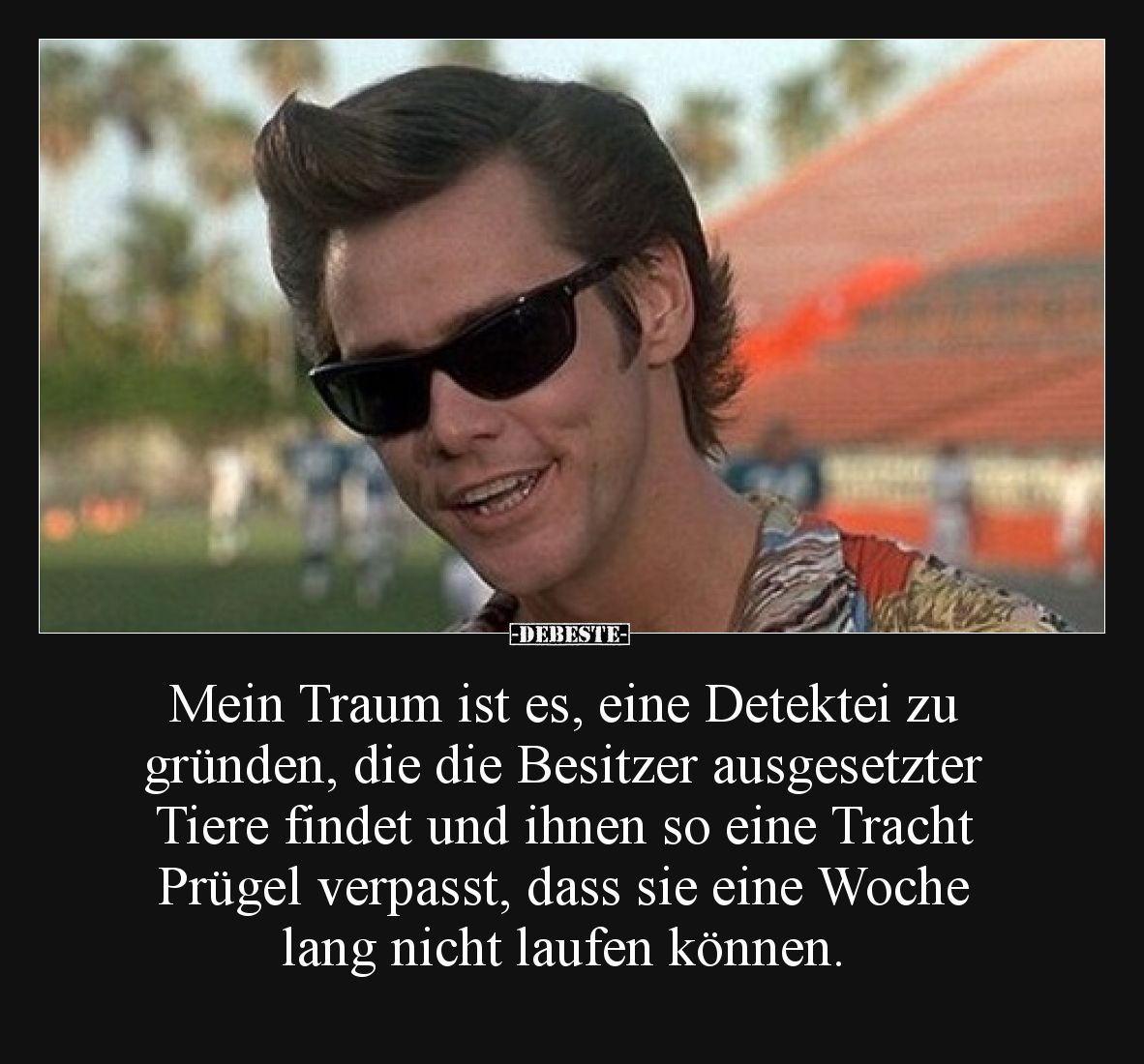 Mein Traum ist es, eine Detektei zu gründen, die die Besitzer ausgesetzter Tiere findet und ihnen so eine Tracht Prügel verpa...