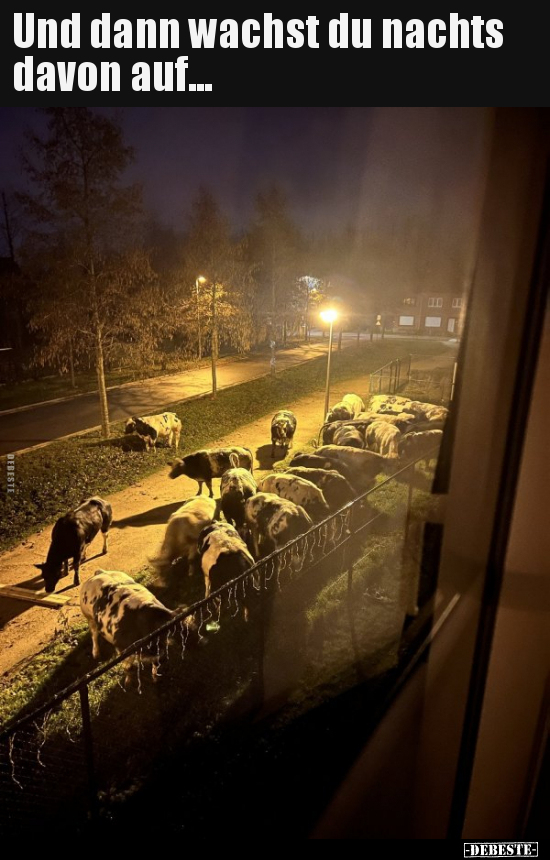 Und dann wachst du nachts davon auf... - Lustige Bilder | DEBESTE.de