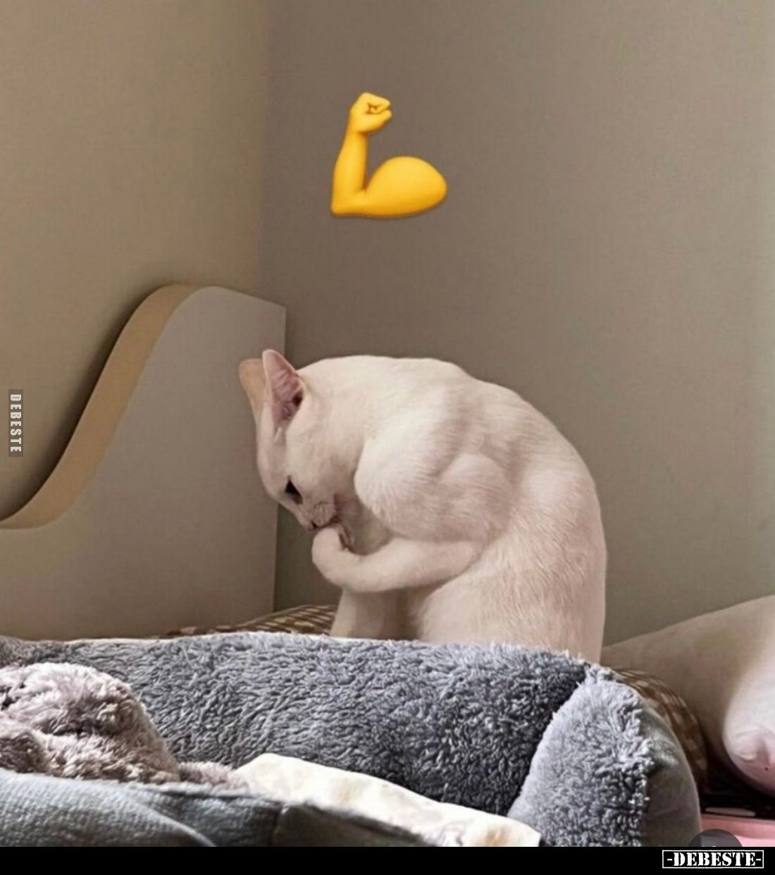 Dieser Pelztier hat einen ordentlichen Bizeps.