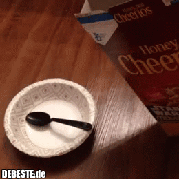 No no no... - Lustige Bilder | DEBESTE.de