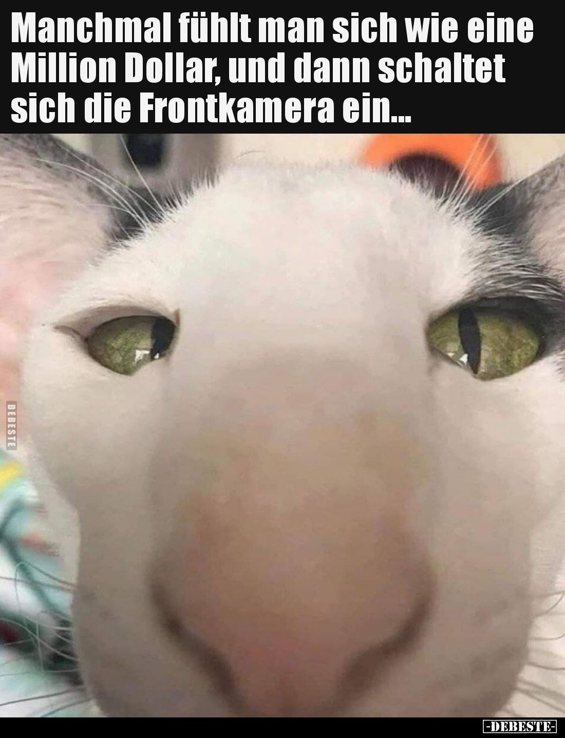 Manchmal fühlt man sich wie eine Million Dollar, und dann schaltet sich die Frontkamera ein...