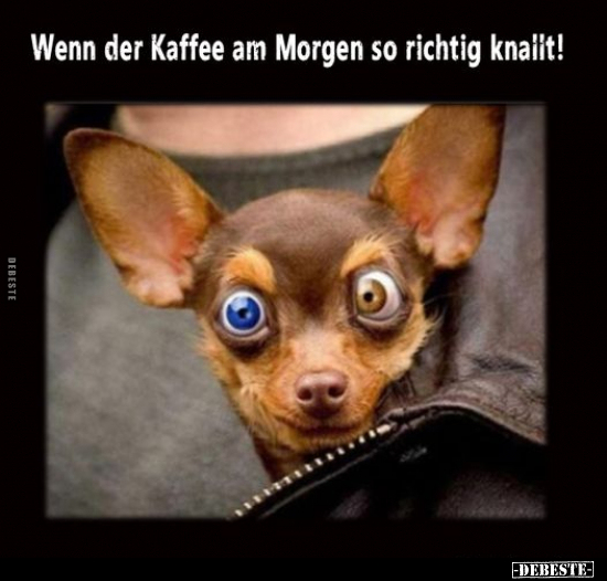 Wenn der Kaffee am Morgen so richtig knallt!.. - Lustige Bilder | DEBESTE.de