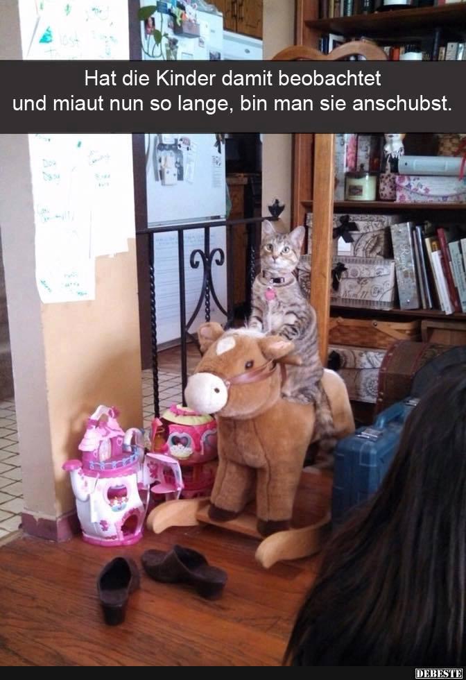 Hat die Kinder damit beobachtet und miaut nun so lange..