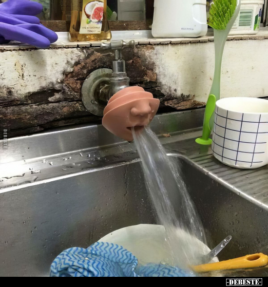  - Lustige Bilder | DEBESTE.de