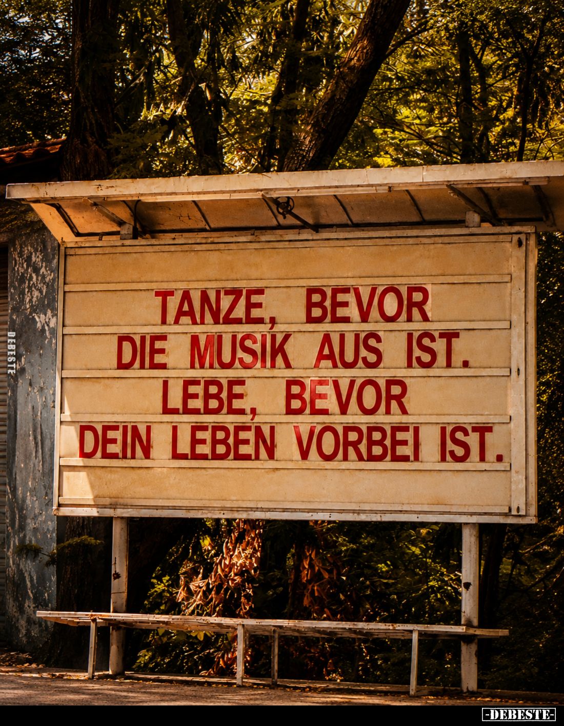 Tanze, bevor die Musik aus ist.
Lebe, bevor dein Leben vorbei ist.