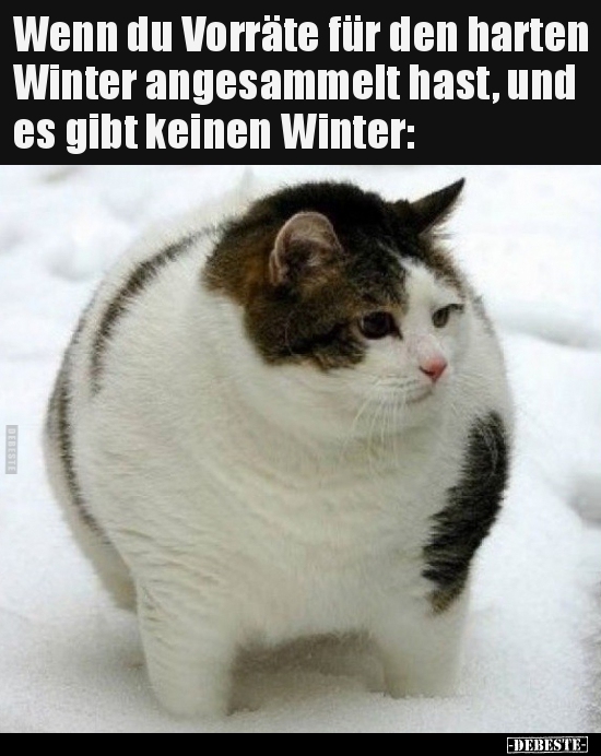 Wenn du Vorräte für den harten Winter angesammelt hast, und.. - Lustige Bilder | DEBESTE.de