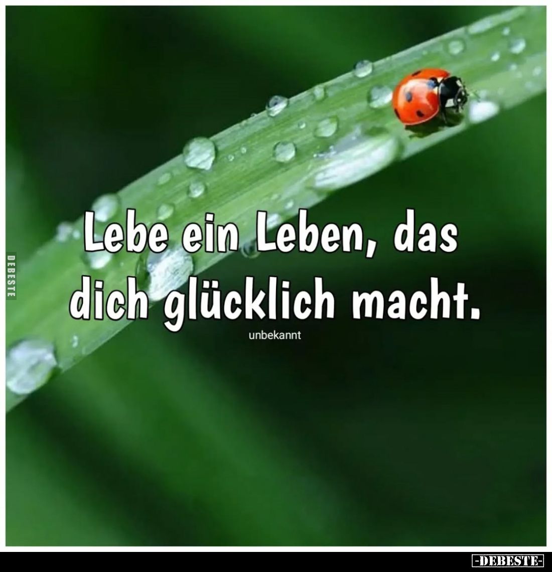 Lebe ein Leben, das dich glücklich macht.